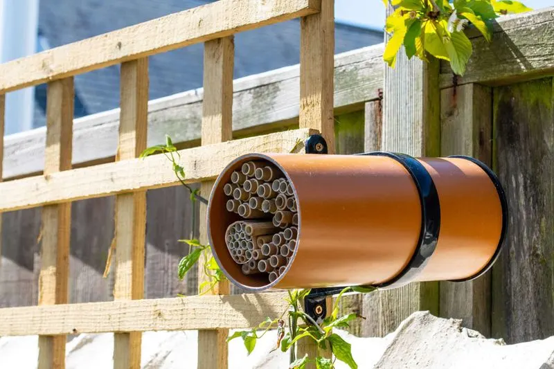 Installing Bee Hotels Incorrectly