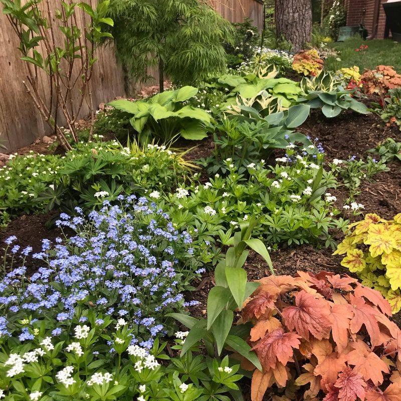 Plant Hardy Varieties