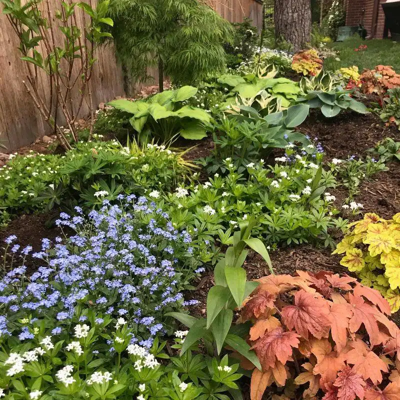Plant Hardy Varieties