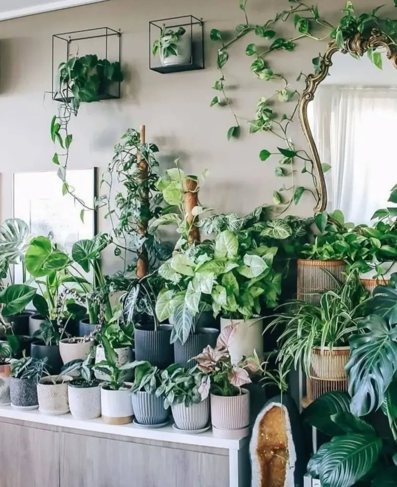 Utilize Vertical Space