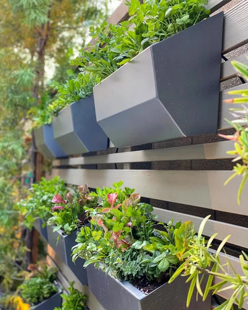 Vertical Garden Wall
