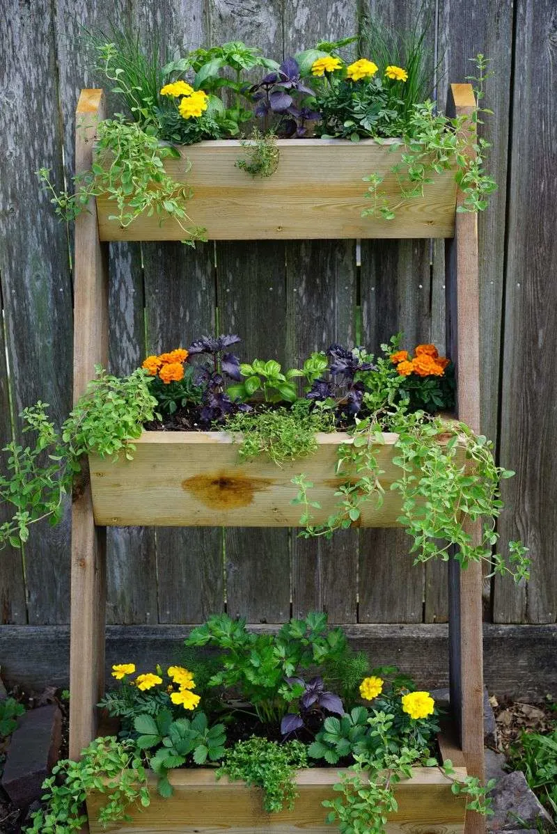 Vertical Gardening