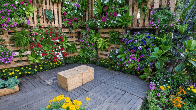 Vertical Gardening