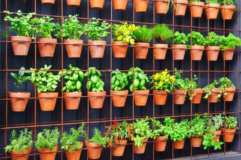 Vertical Gardens