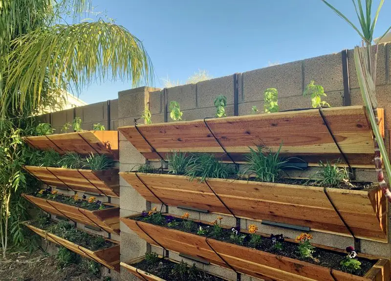 Vertical Gardens