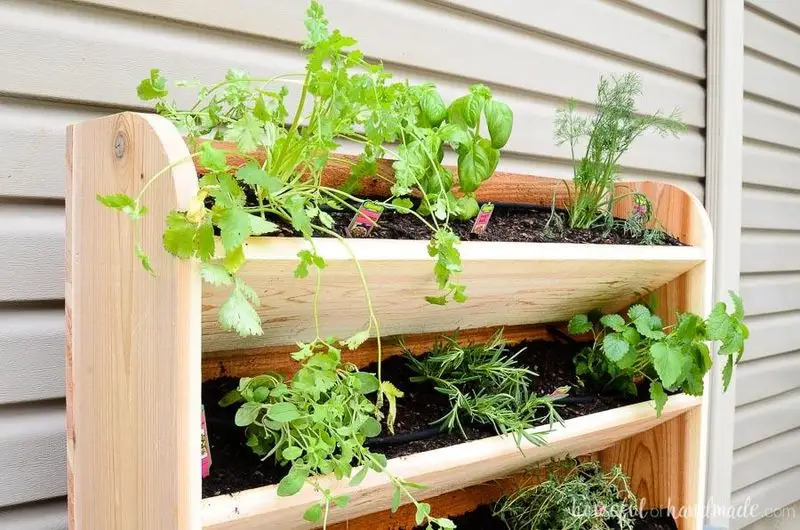 Vertical Herb Garden
