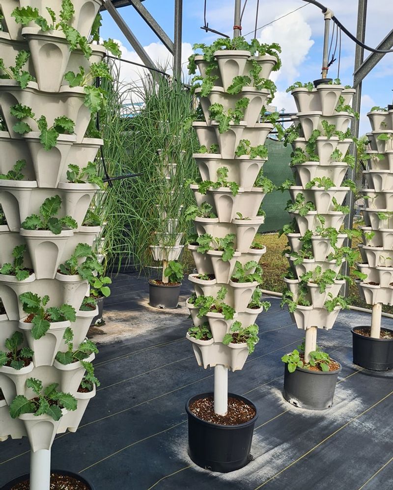 Vertical Hydroponic Garden