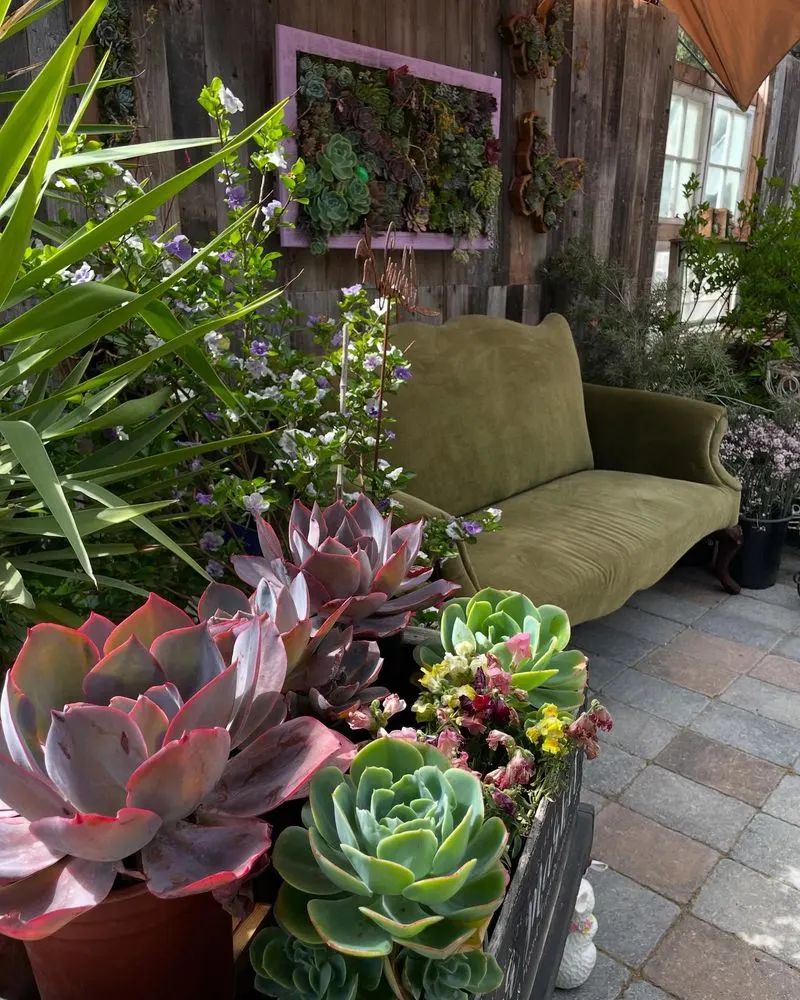 Vertical Succulent Garden