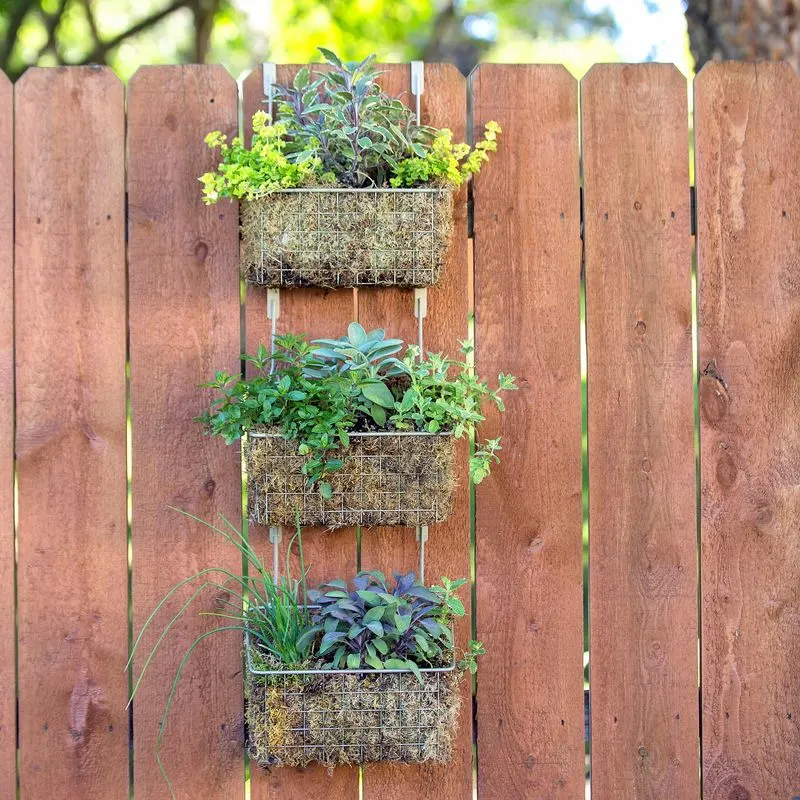 Vertical Wall Planters