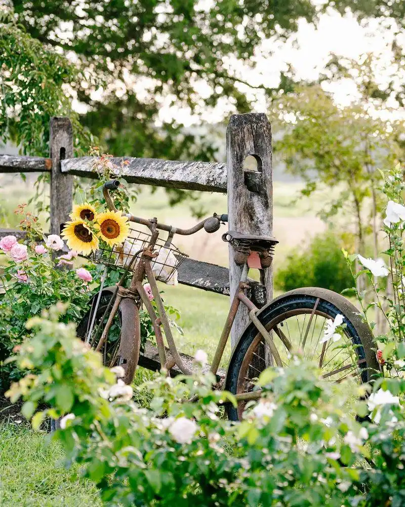 Vintage Bicycle Planter