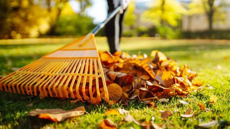 Washing Leaves Weekly