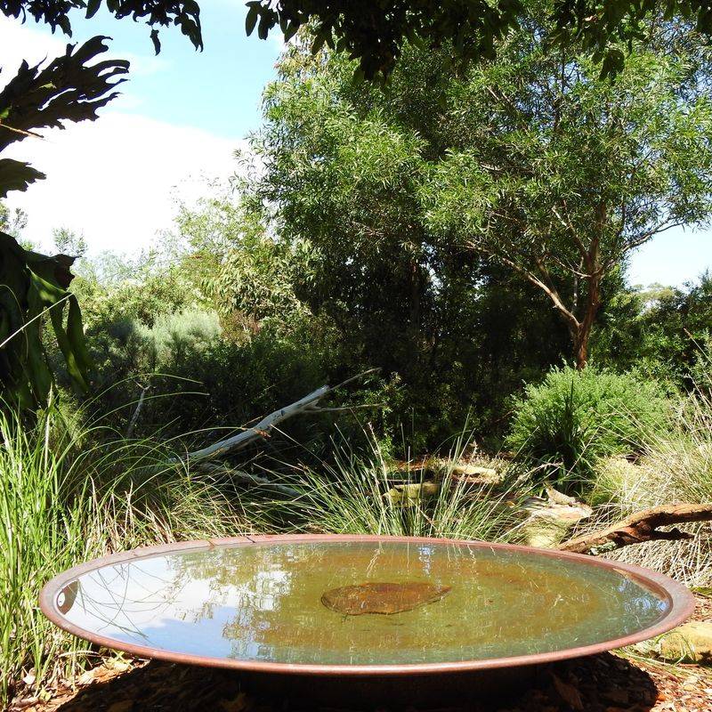 Water Features