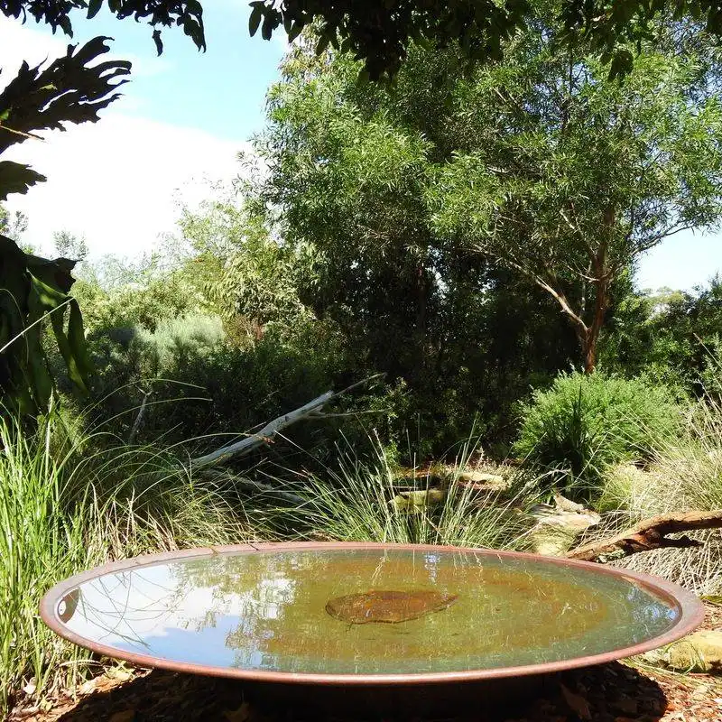 Water Features