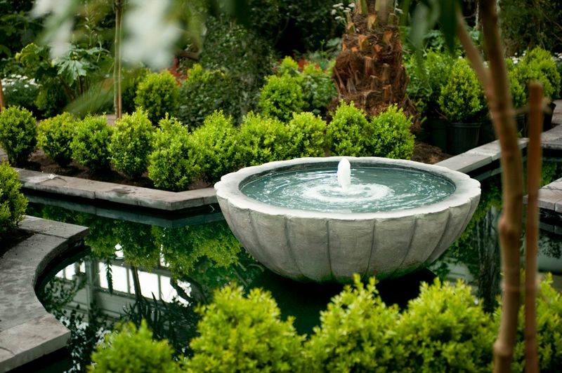 Water Features