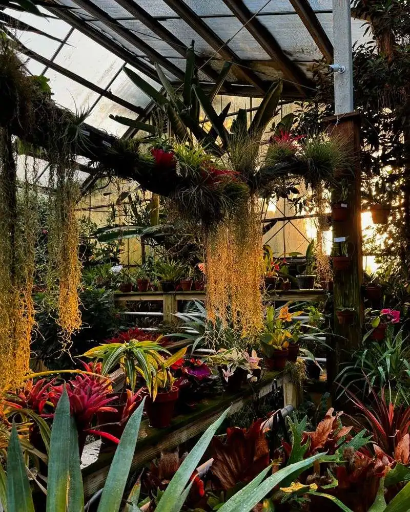 Exotic Plant Collections