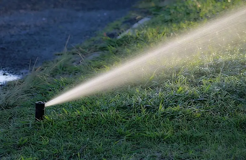 Water Wisely
