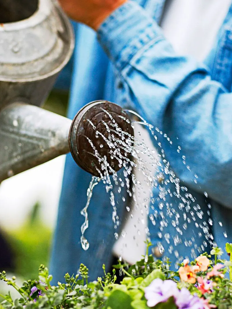 Water Wisely