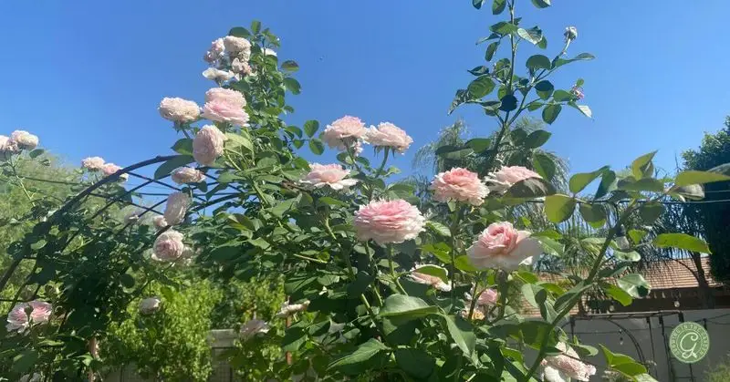 Sunlight Exposure