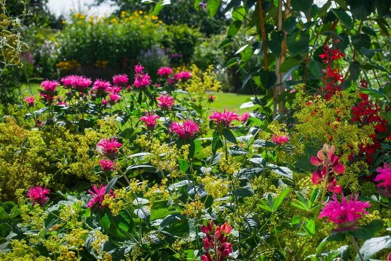 Seasonal Planning