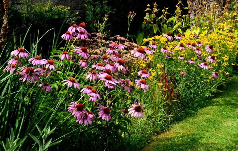 Mulching Benefits