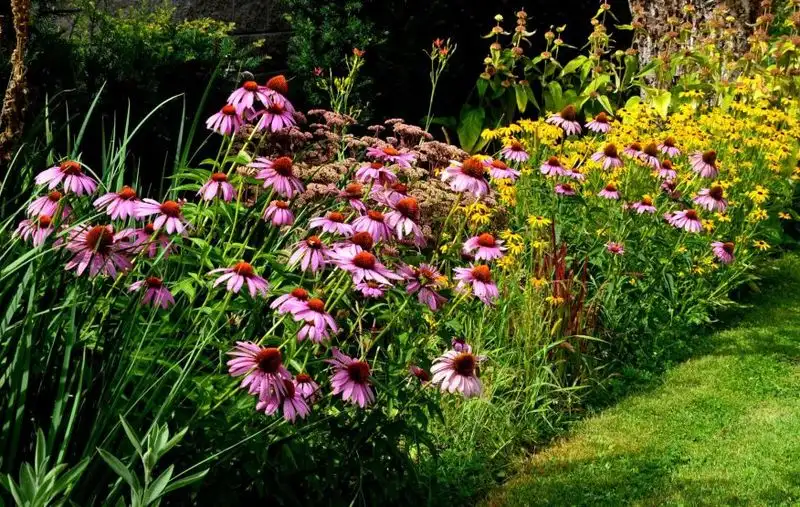 Mulching Benefits