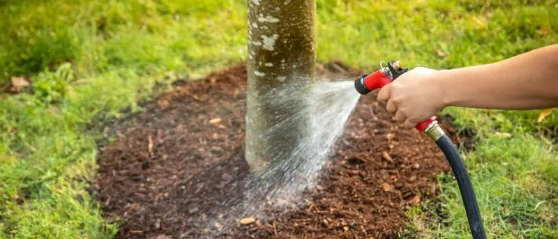 Watering with Care