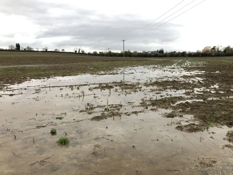 Waterlogged Soil