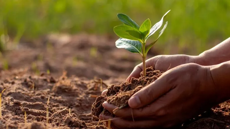 Improved Soil Structure