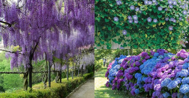 What Gardeners Regret Planting Every Single Year (And Why They Keep Doing It Anyway)
