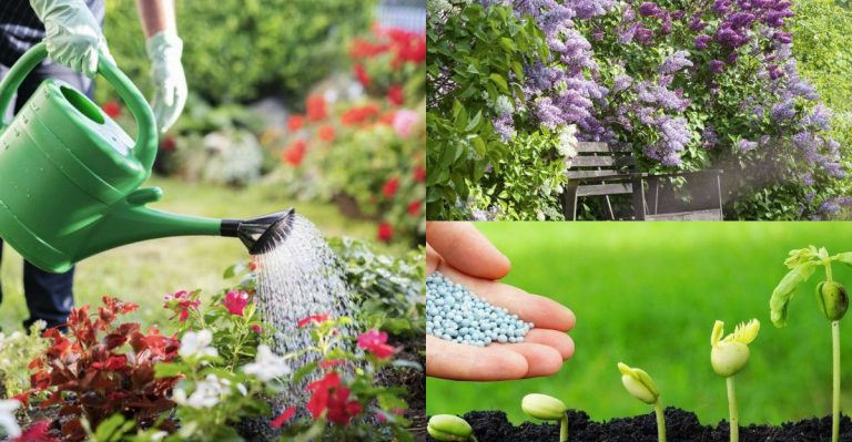 What Not to Do in Your Garden This May (And What to Do Instead)