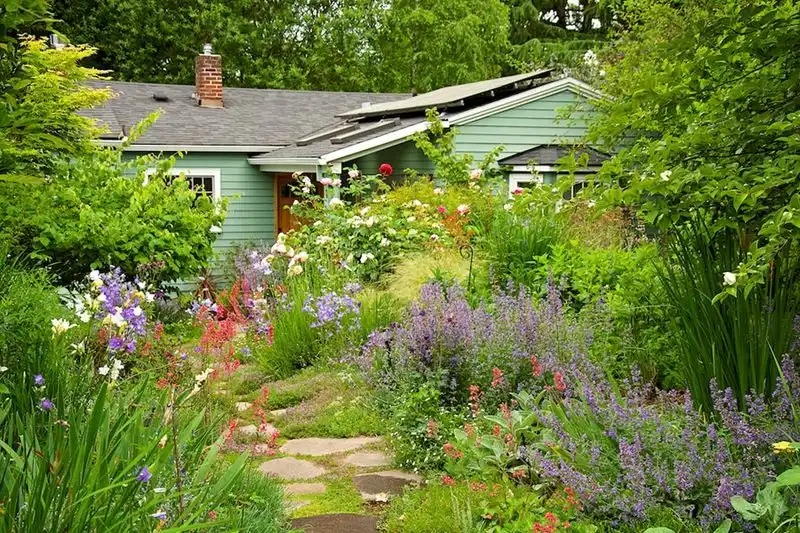 Wildflower Meadow