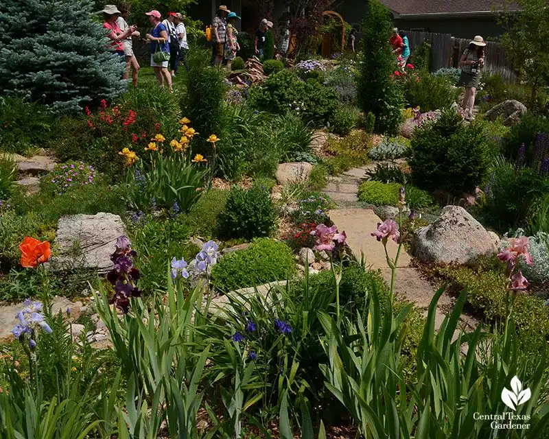Wildflower Rock Pathway
