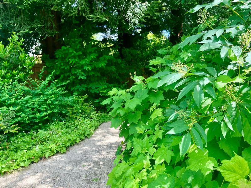 Wildlife Habitat