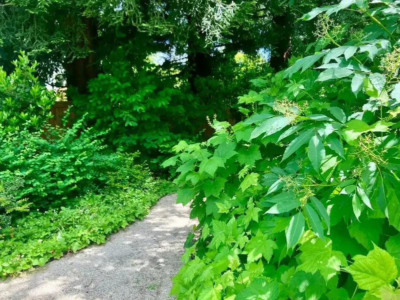 Wildlife Habitat