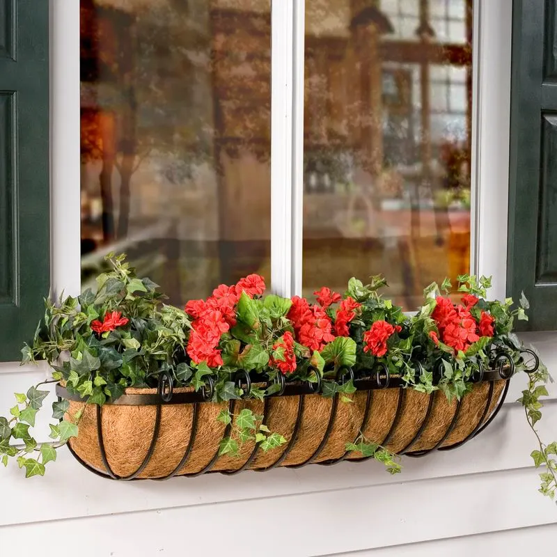 Window Boxes