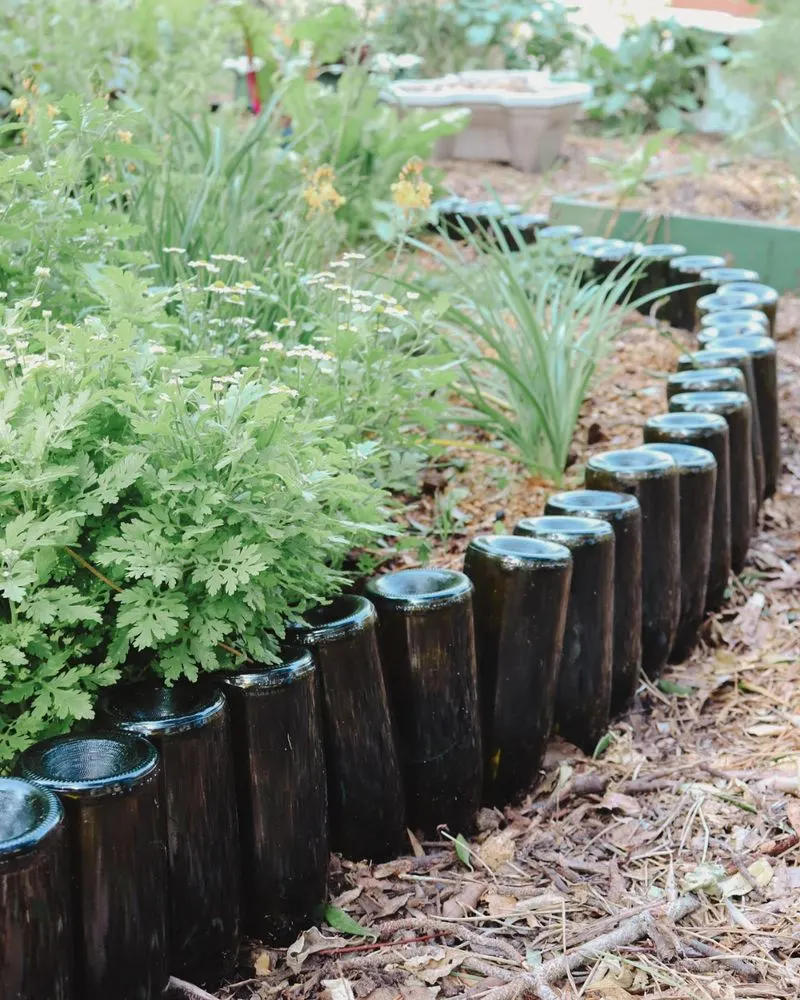 Wine Bottle Edging
