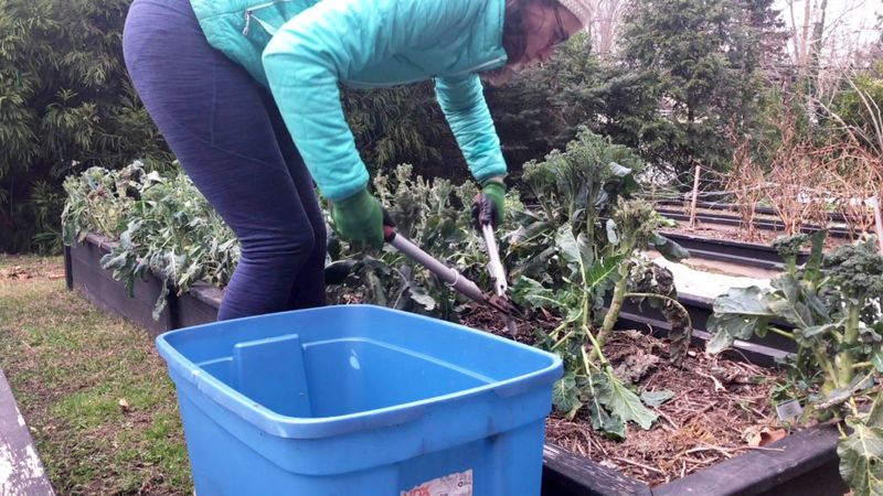 Winterizing the Garden
