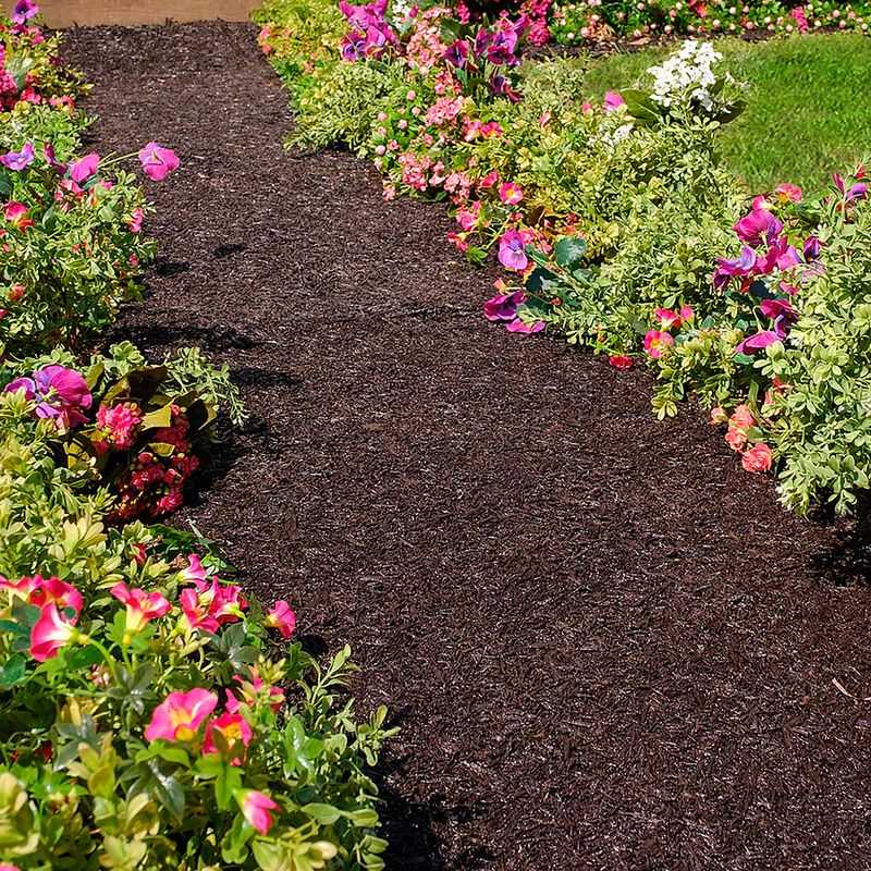 Mulch Pathway