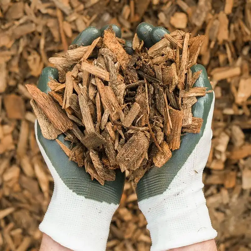 Wood Chips