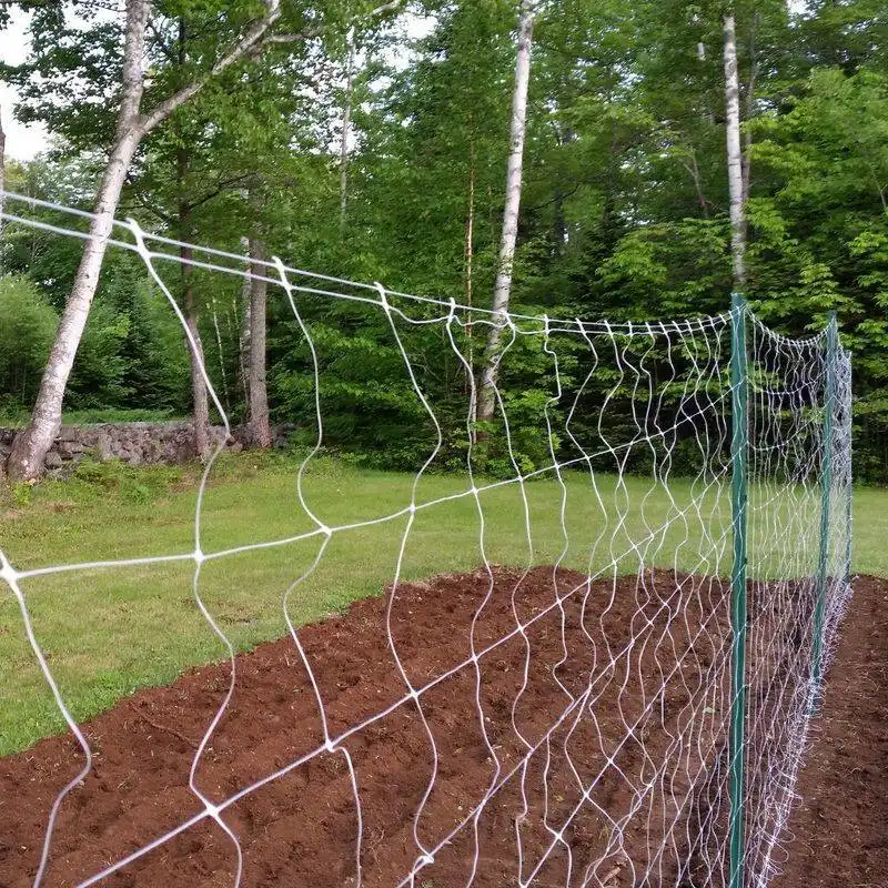 Plastic Netting Sagging