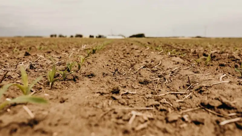 Erosion Control