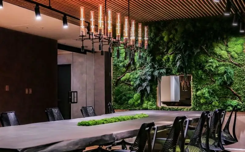 You Develop a Personal Plant Philosophy