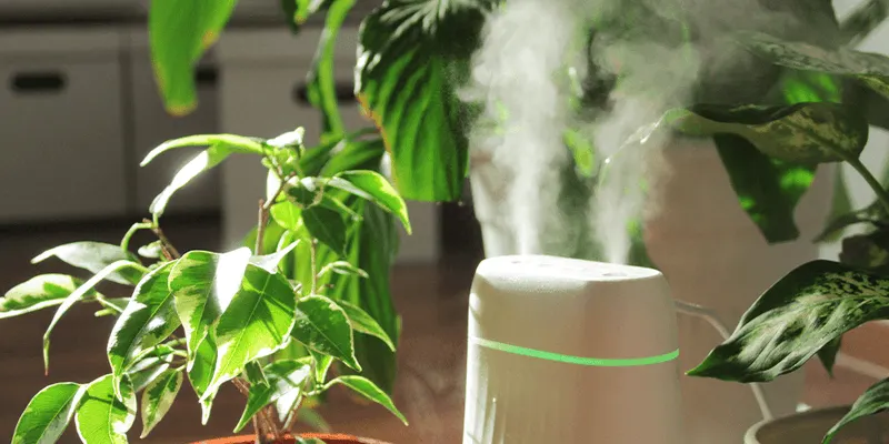 You Understand the Importance of Humidity