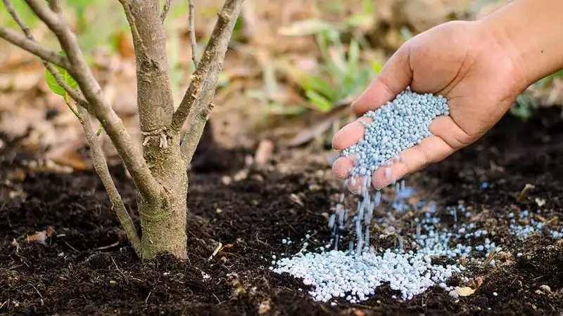 You're Fluent in Fertilizer Needs