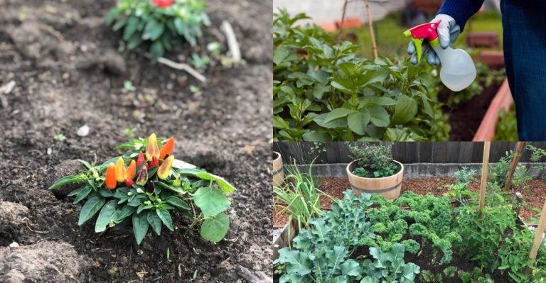 You’re Wasting Time on These 15 Gardening Habits (They Don’t Help)