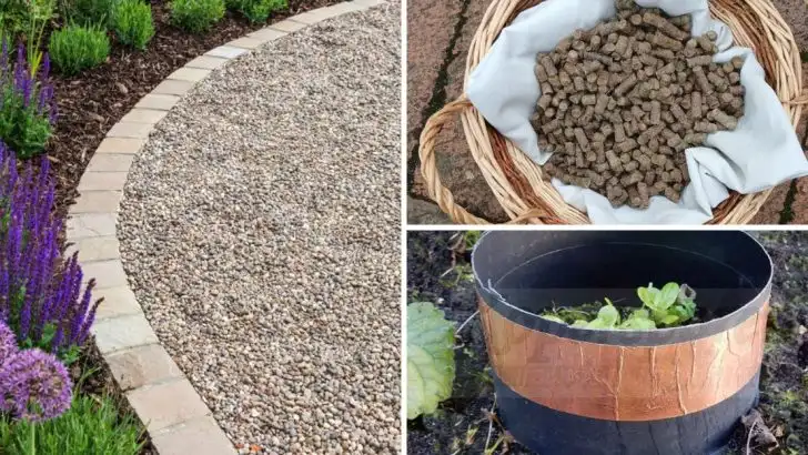 Creative Ways to Keep Slugs and Snails Out of Your Garden