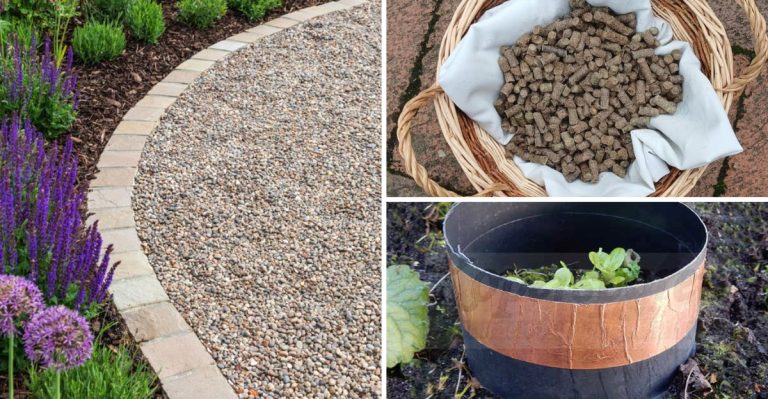 Creative Ways to Keep Slugs and Snails Out of Your Garden