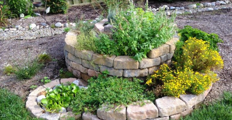 Edible Landscaping: Blending Beauty and Functionality in Your Garden