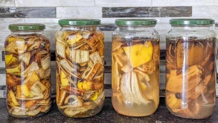 ​Fermented Fruit Juice as Natural Fertilizer: Boosting Plant Growth Organically