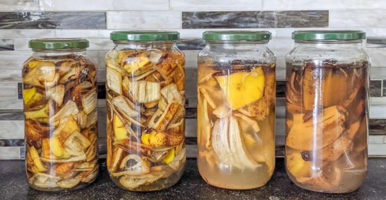 ​Fermented Fruit Juice as Natural Fertilizer: Boosting Plant Growth Organically